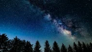 A breathtaking view of the Milky Way galaxy stretching across a brilliant, star-filled night sky, with the dark silhouette of a dense pine tree forest in the foreground.